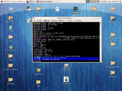 FreeBSD desktop with BitchX IRC client, September 2004
